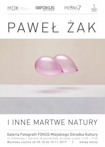 Paweł Żak - I inne martwe natury