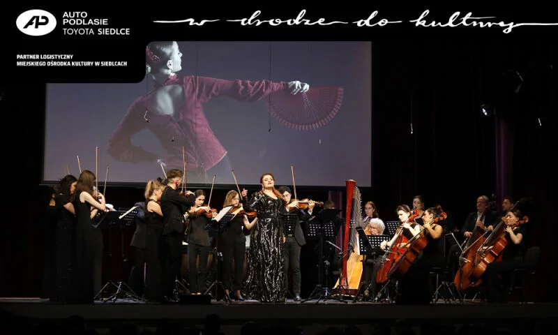 ORKIESTRA KAMERALNA ALEKSANDRIA - UWERTURA DO OPERY CARMEN