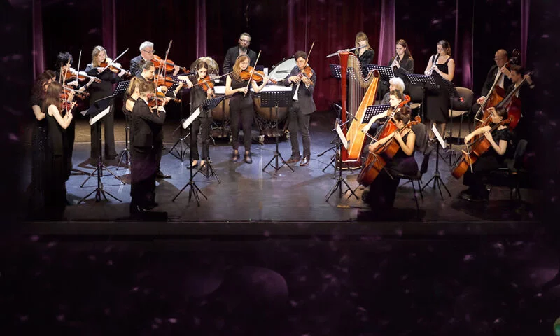 Koncert karnawałowy Duety Miłosne Orkiestry Kameralnej Aleksandria